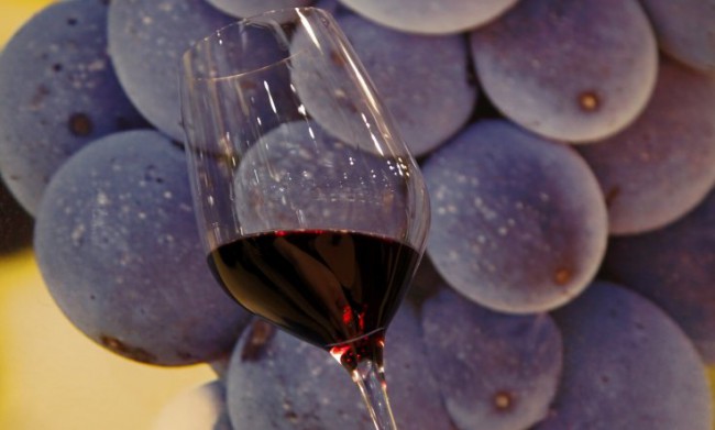 Красный виноград – лучший антиоксидант и помощник памяти