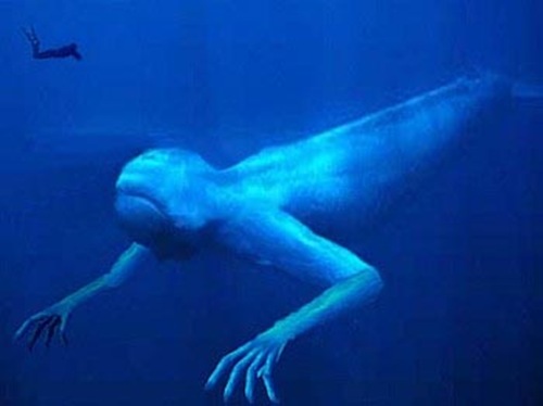 Нингены – загадочные морские люди Антарктики