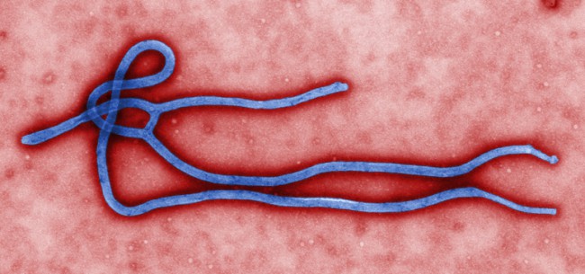Как LG борется с лихорадкой Эбола