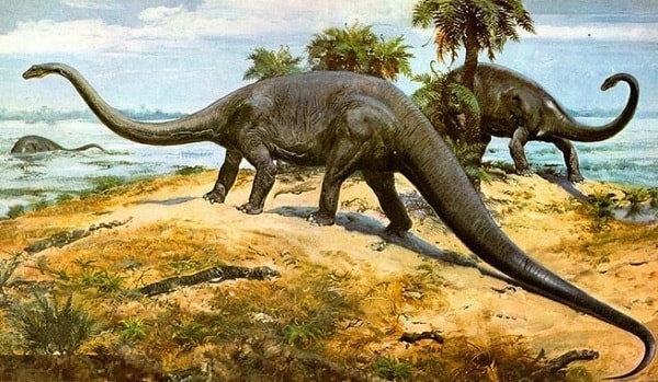Самое простое объяснение: динозавры утонули
