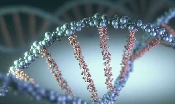 Ученые обнаружили активность генов в трупах