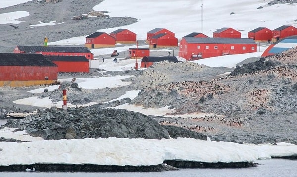 Длительное пребывание в Антарктиде угрожает мозгу