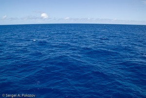 К концу века мировой океан может лишиться до 7% кислорода